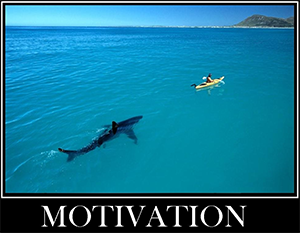 motivation shark px300.png