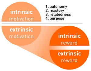 distinguish between intrinsic and extrinsic motivation