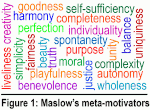 motivation-Maslow MetaMotivators 300px.gif