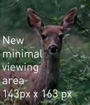 deer-example3.png