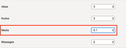 Media51Setting.png