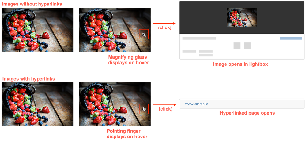 Media51_imagelinkhandling.png
