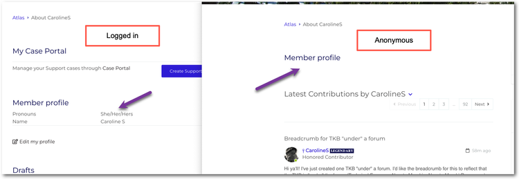Pronouns / name not showing for anonymous users