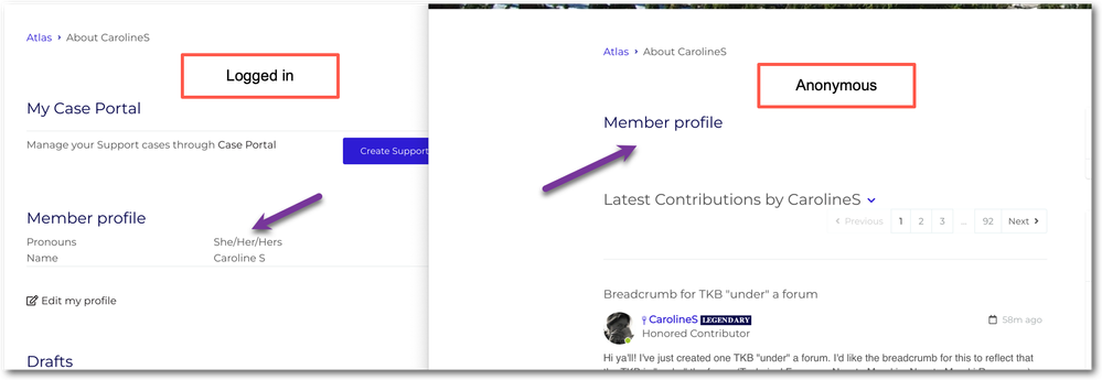 Pronouns / name not showing for anonymous users