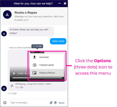 Modern Chat widget – inline video additonal options.png