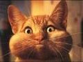 BrianS's avatar
