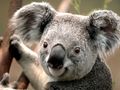 Kellypersoons1's avatar