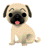 mso's avatar