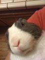 KevinC's avatar