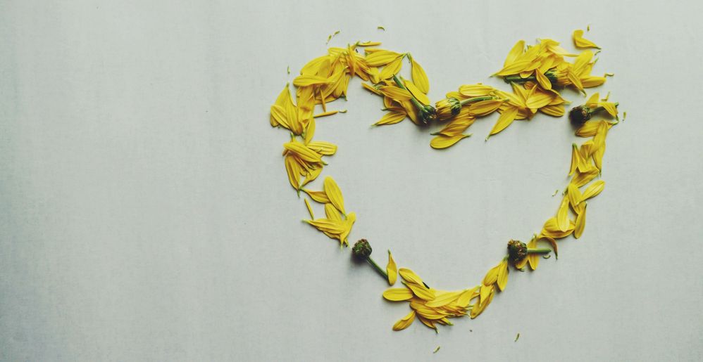 heart-shape-yellow-flower-petals-947925.jpg
